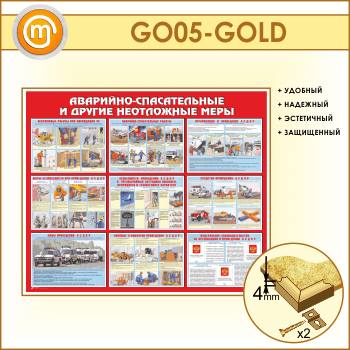 ����� ���������-������������ � ������ ���������� ����� (GO-05-GOLD)