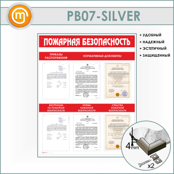 ����� ��������� ������������� � 6 ��������� (PB-07-SILVER)