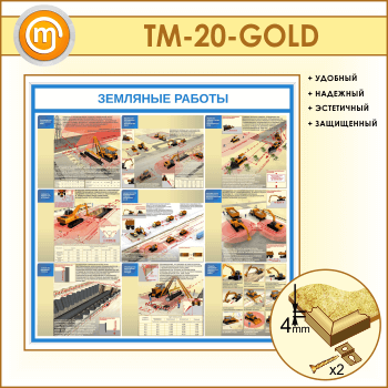 ����� ��������� ������� (TM-20-GOLD)