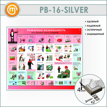 ����� ��������� ������������. ��� ������ ����� ������ (PB-16-SILVER)