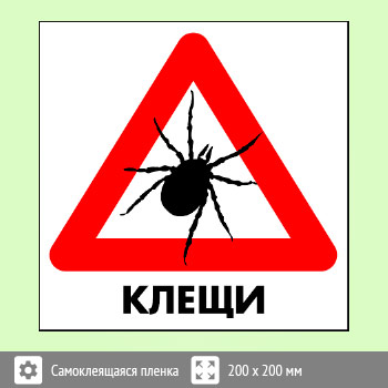 ���� ������, B97 (������, 300�300 ��)