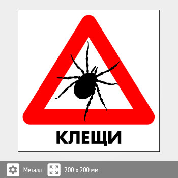 ���� ������, B97 (������, 300�300 ��)