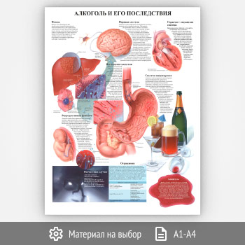 ������ ��������� � ��� ������������ (���-03, 1 ����)