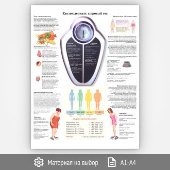 ������ ���� ���������� �������� ��� (���-11, 1 ����)