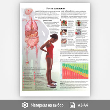 ������ ������ ��������� (���-18, 1 ����)