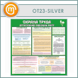 ����� ������� �����. ���������� ������� ���� � �������� (OT-23-SILVER)